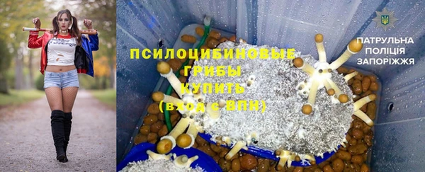 гидра Алексин