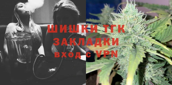 гидра Алексин