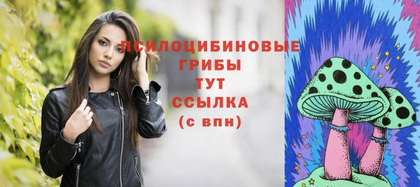 гидра Алексин
