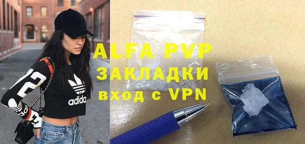 гидра Алексин
