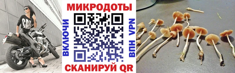 маркетплейс как зайти  Калининск  Псилоцибиновые грибы Cubensis  цена  